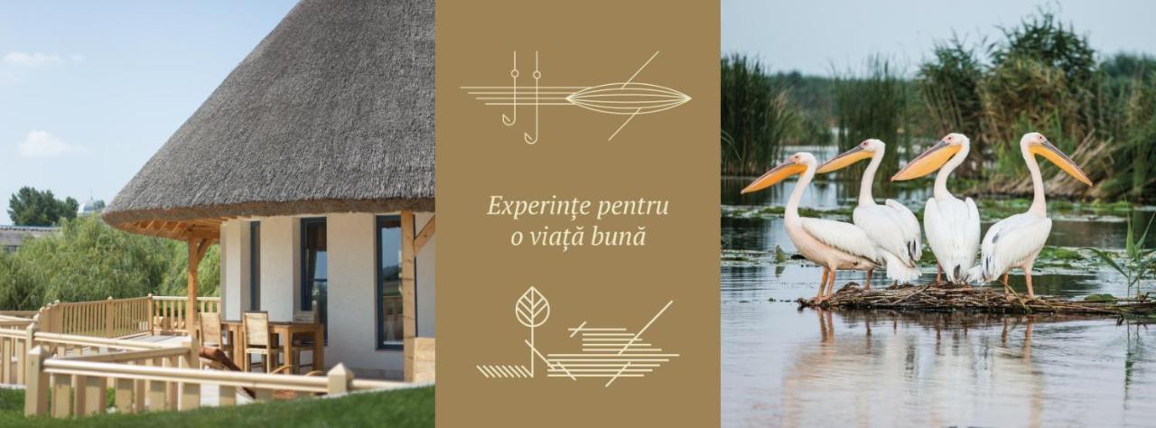 Pensiunea Nest Dunavăţu de Jos Exterior foto